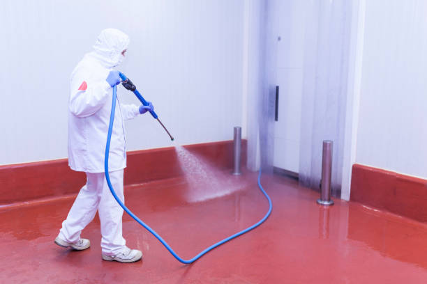 Best Graffiti Removal  in Clinton, MI