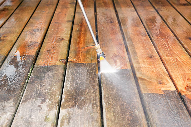 Best Fence Cleaning  in Clinton, MI